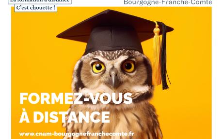 EAD avec un hibou et un chapeau de diplôme
