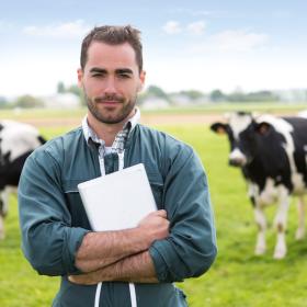 technicien agricole avec vaches en arrière-plan dans un champs