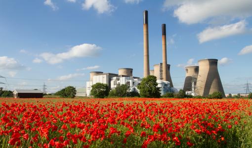 centrale nucléaire derrière champs de coquelicot