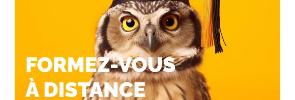 EAD avec un hibou et un chapeau de diplôme